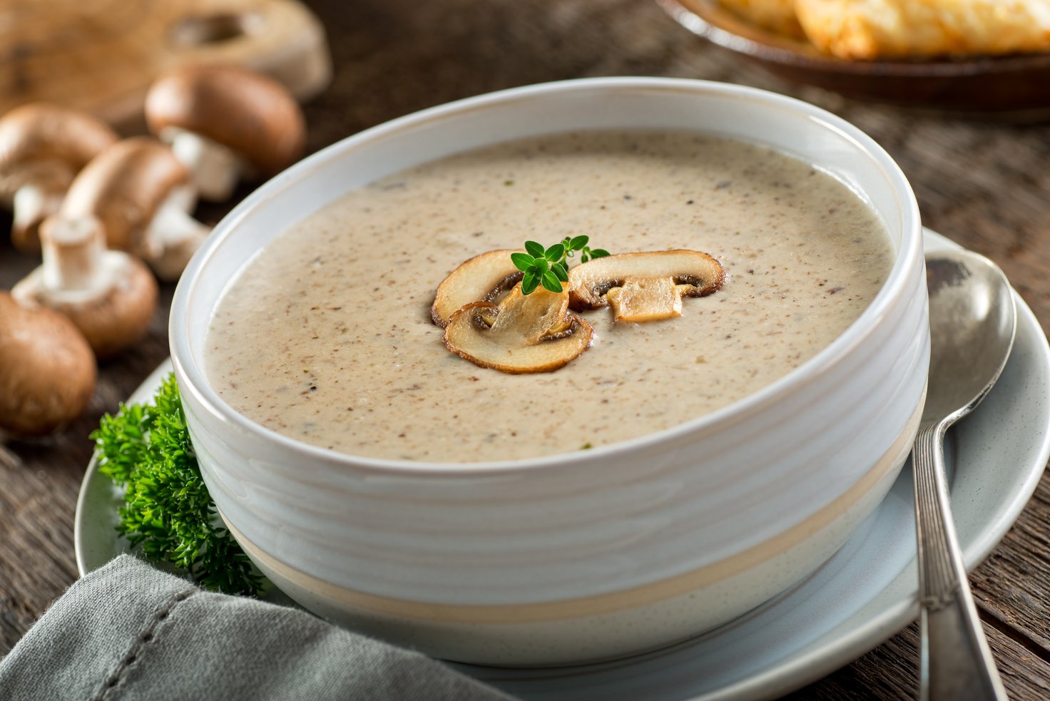 Cream of Mushroom Soup